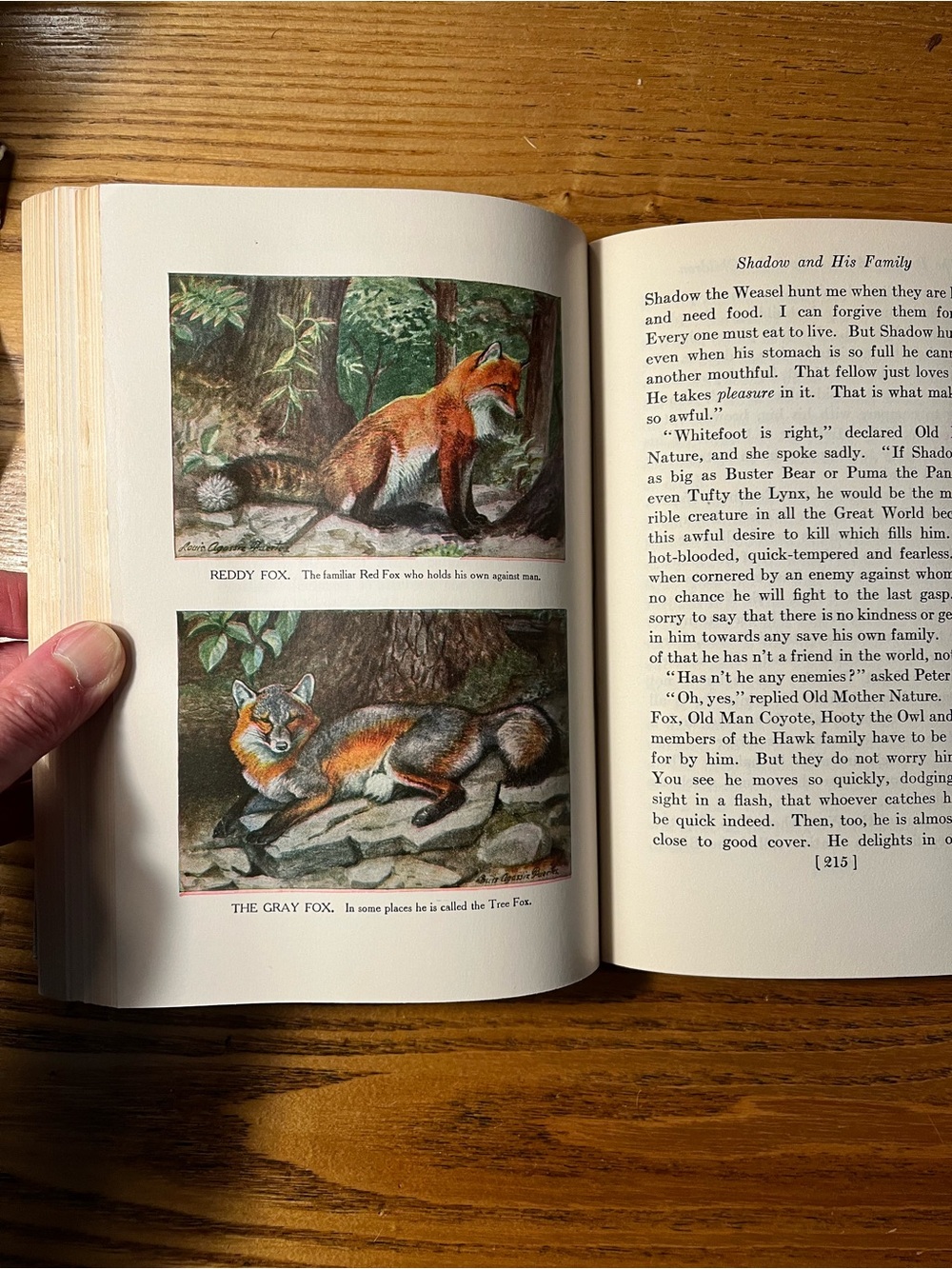 1920 Burgess Animal Book for Children - Hardcover color bookplates - Picture 7 of 16